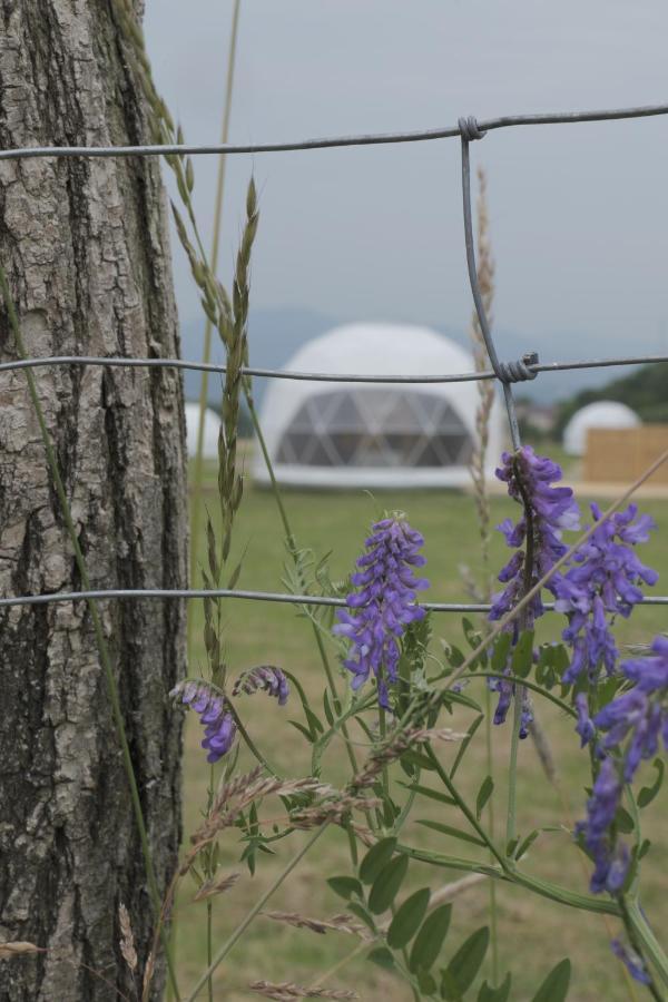Glamping Resort Dolny Kamenec Esterno foto